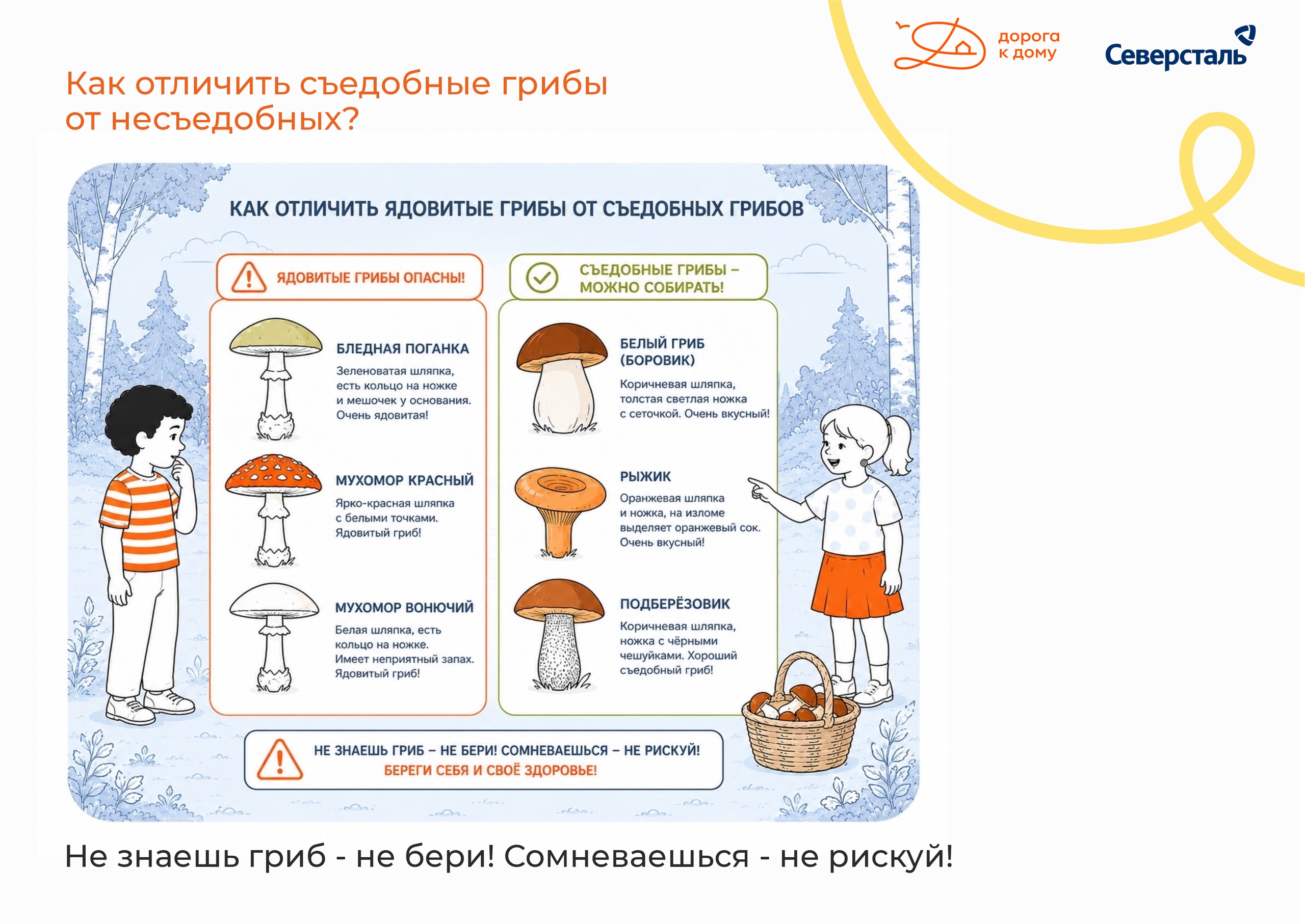 Даже опытные грибники могут ошибиться!