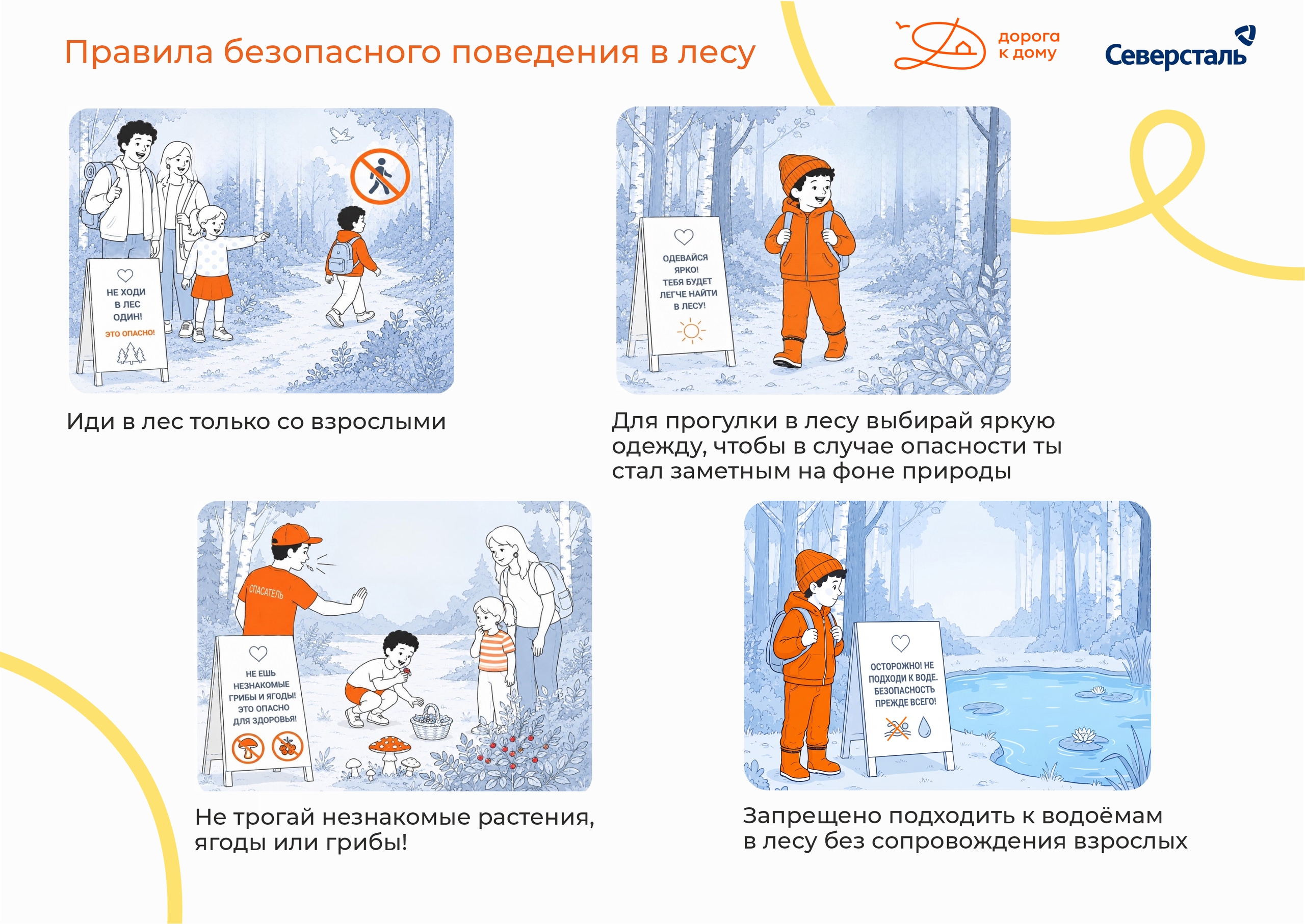 Безопасность в лесу: правила для маленьких исследователей