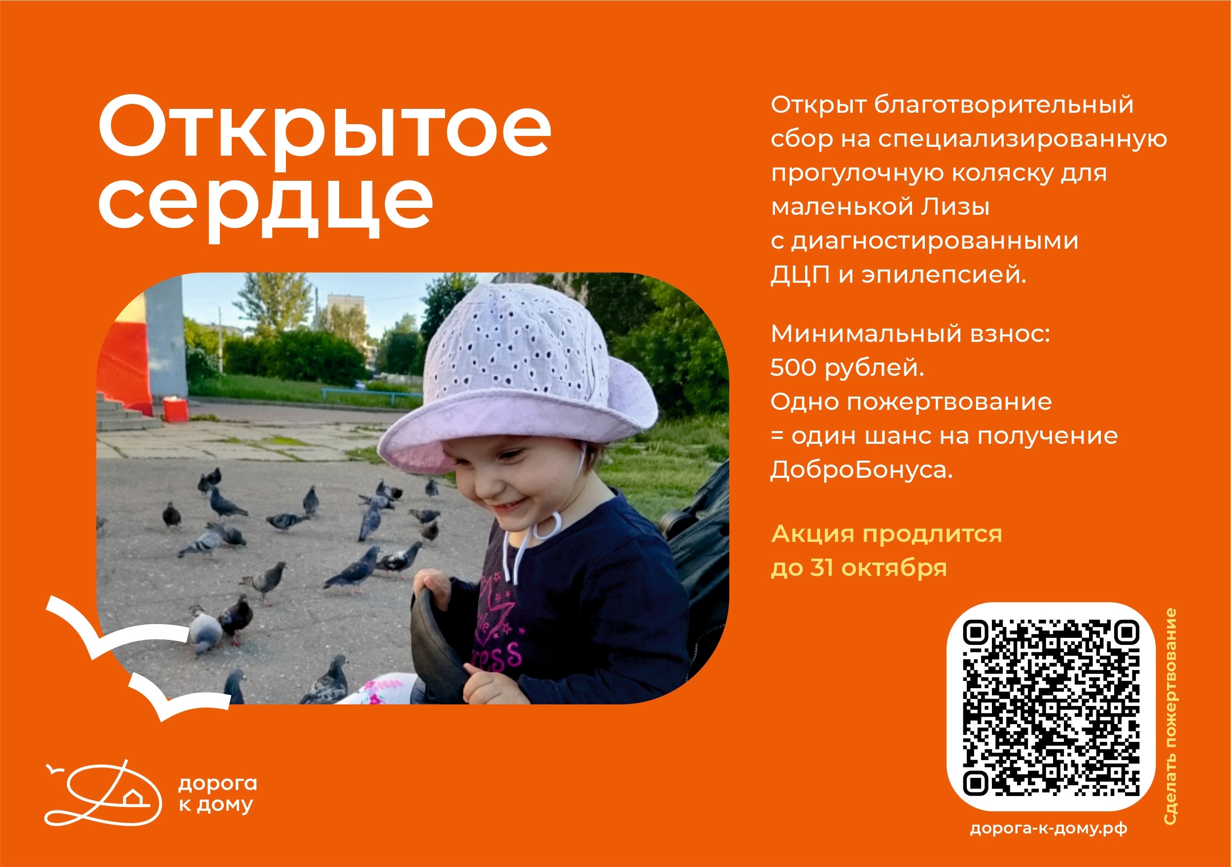 Каждое пожертвование приближает помощь Лизе