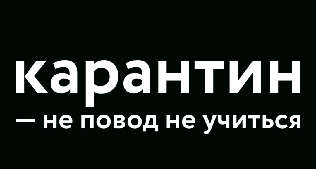 karantin.jpg karantin.jpg