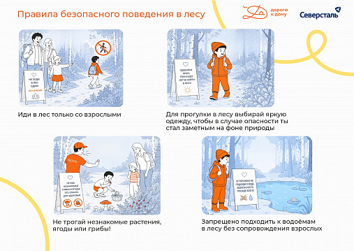 Безопасность в лесу: правила для маленьких исследователей