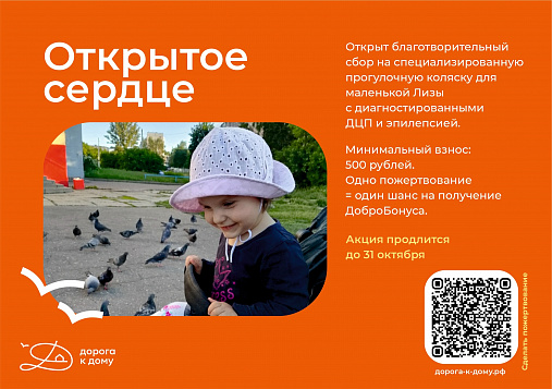 Каждое пожертвование приближает помощь Лизе